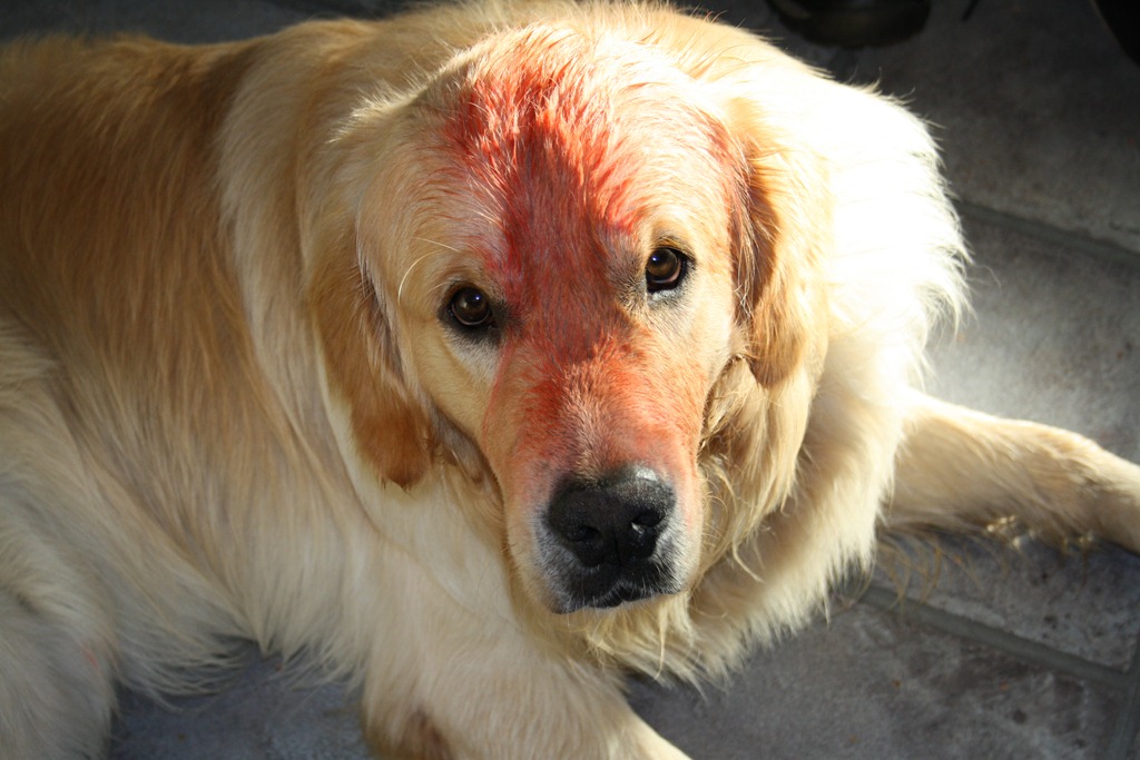 [005%255B4%255D.jpg]