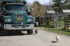 Francesca!  Where are you going?  Be careful near all of these big trucks and heavy equipment!