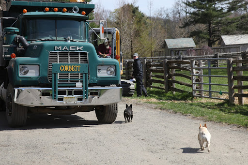 Francesca!  Where are you going?  Be careful near all of these big trucks and heavy equipment!