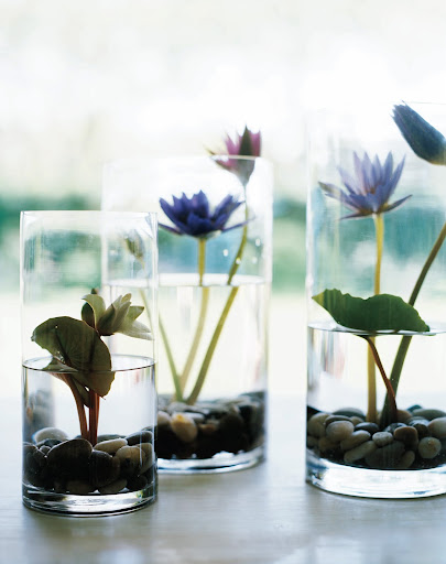 Arrangement of a lily pond in a vase. (Martha Stewart Living)