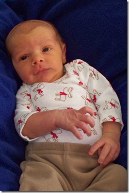 Edward Michalek - 12 days old