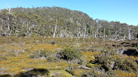 03 Lake Adelaide 2013-01-20.jpg Photo 03 Lake Adelaide 2013-01-20.jpg Photo