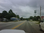 IMG00182-20090802-1052.jpg