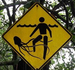 jellyfish signage