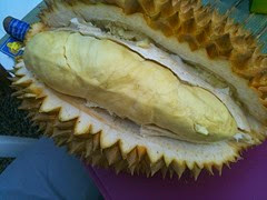 Durian 3