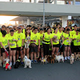 Pet Express Doggie Run 2012 Philippines. Jpg (44).JPG