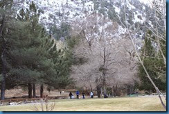 IMG_7032 IMG_7032
