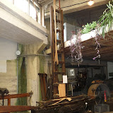 P1040143.JPG