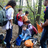 PA250015.JPG
