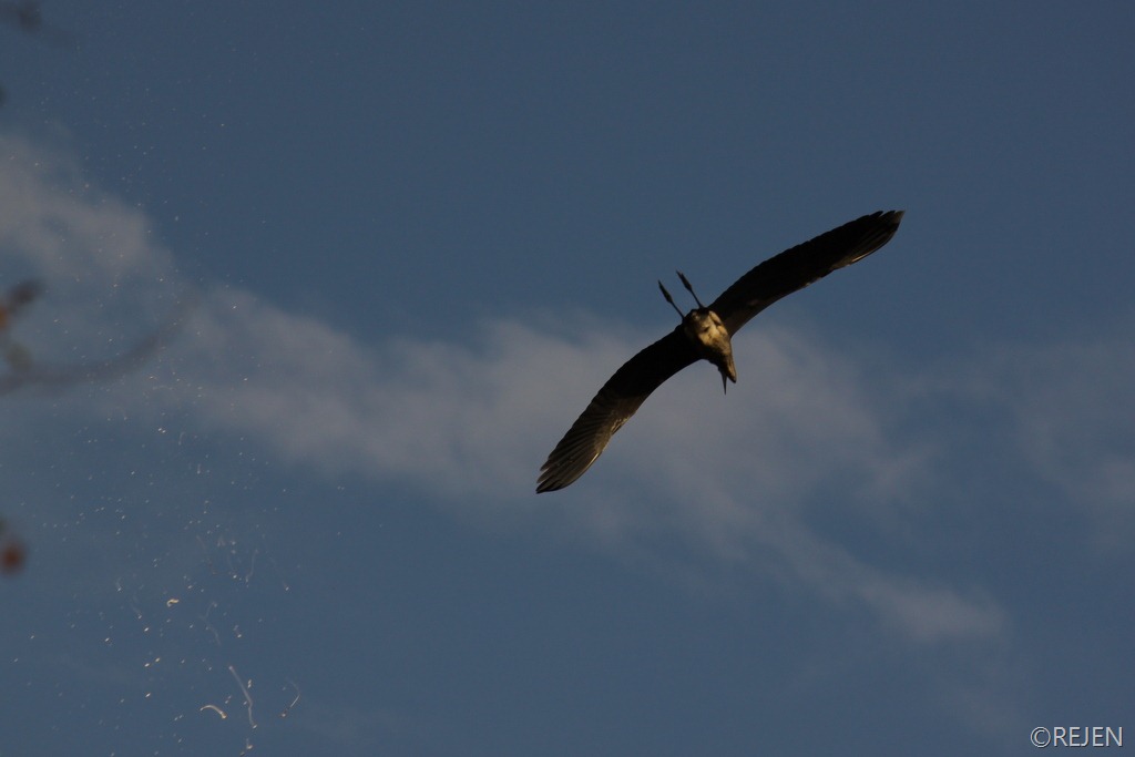 [IMG_2031%255B3%255D.jpg]