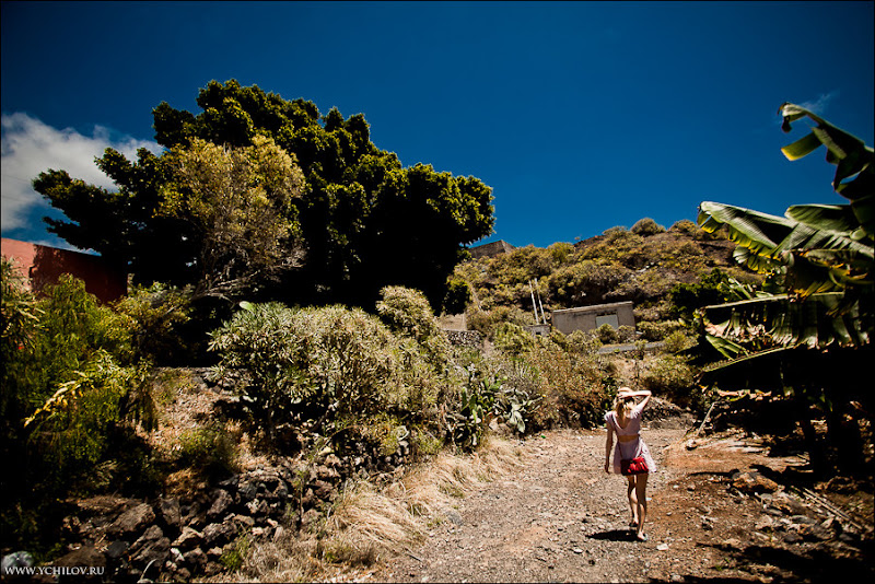 012 www.ychilov.ru foto tenerife.jpg