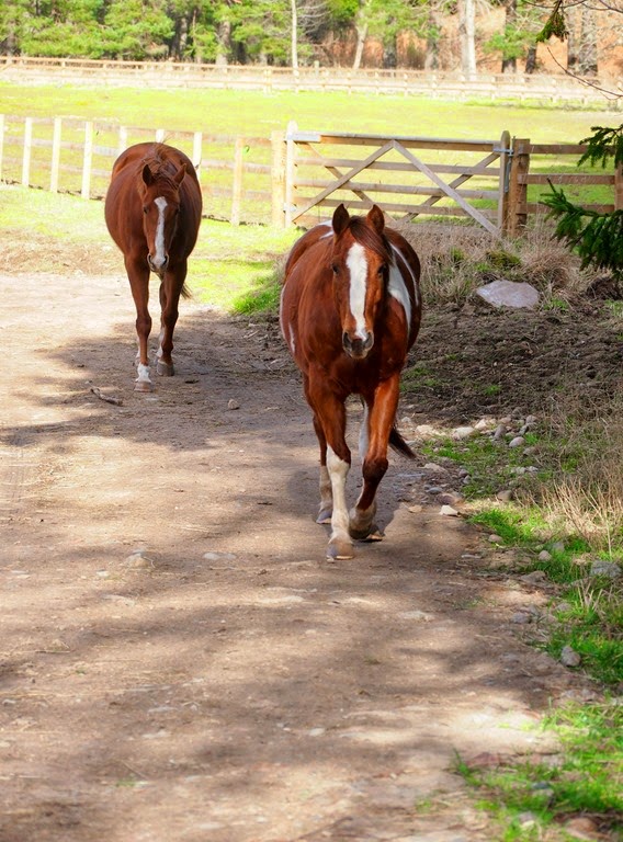 [16%2520March%25201%255B3%255D.jpg]