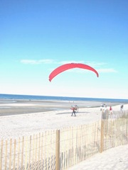 11.2011 Mayflower Beach dennis man ready to take off