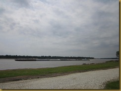 IMG_5911 IMG_5911