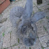 DSC06620.JPG
