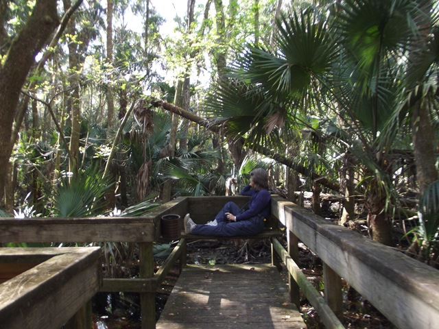 [LastdayatHighlandsHammock039%255B1%255D.jpg]