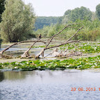 DSCN8284.JPG