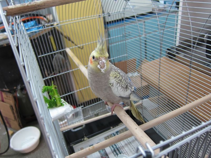 [IMG_74774.jpg]