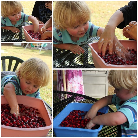 [CranberryTGiving3%255B4%255D.jpg]