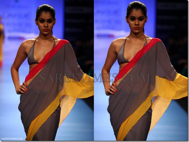 Wendell_Rodricks_Saree