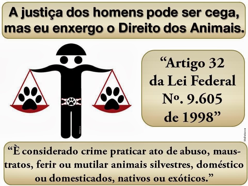 [justica-animais%255B3%255D.jpg]