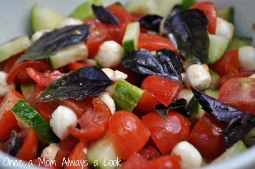 [Tomato%2520Basil%2520Mozzarella%2520Salad%255B4%255D.jpg]