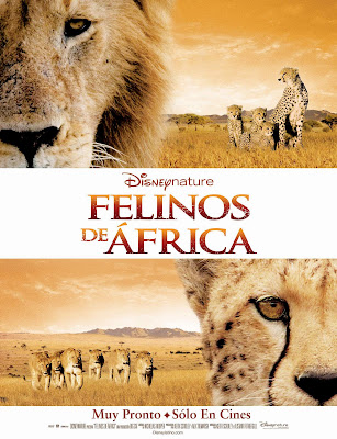 Felinos de Africa