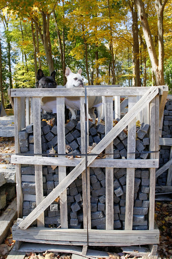 There seem to be plenty of these bricks.  Maybe we could use them to build a little house for ourselves.