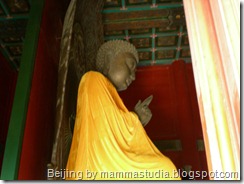 DSCN3354 DSCN3354