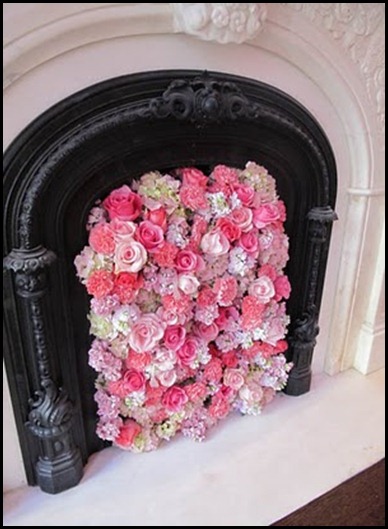 IMG_2721 little pheasant