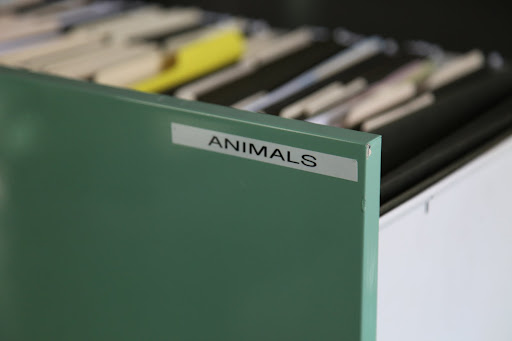 And it's marked for filing under 'Animals'.