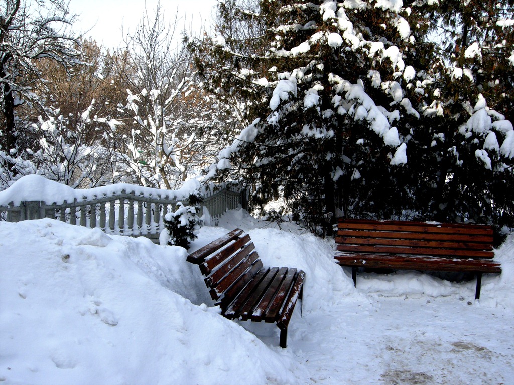 [DSCN43753.jpg]