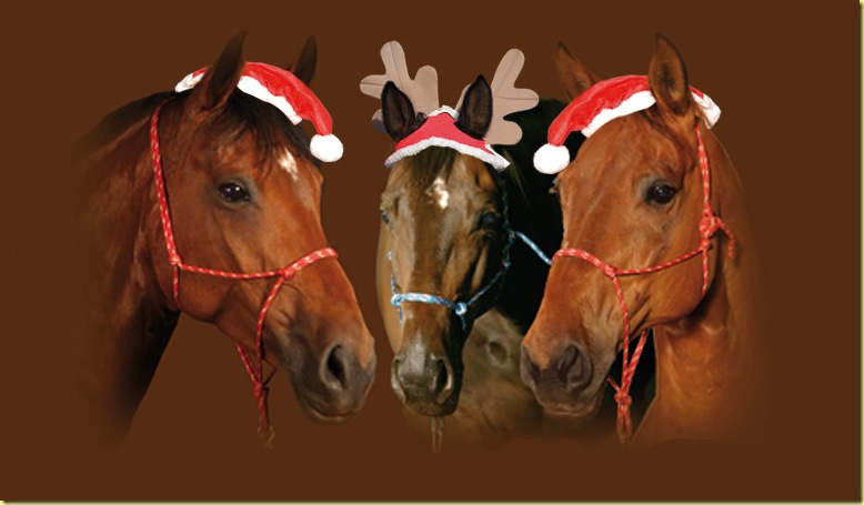 Pferde-weihnachten1
