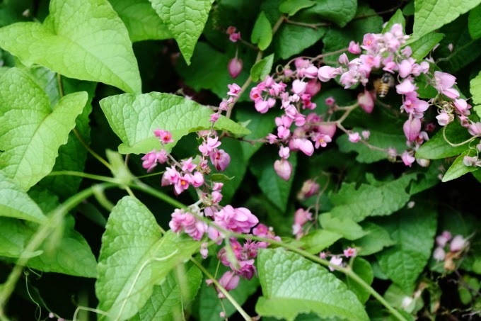 2014_0516_141737 2014_0516_141737