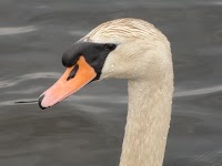 DSC03109.JPG