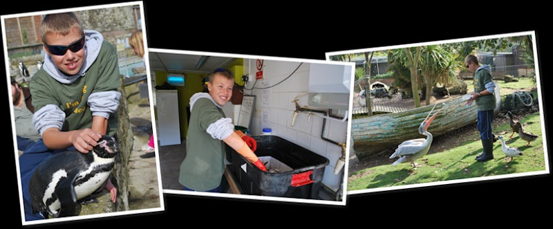 View Oliver Niemiec 1