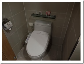 Hotel Skypark Central Myeongdong Seoul_double room_16