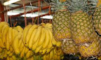 Mercado de frutas