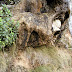 Camí dels Degotalls