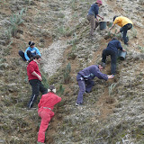 27. Impadurire 10 aprilie 2010