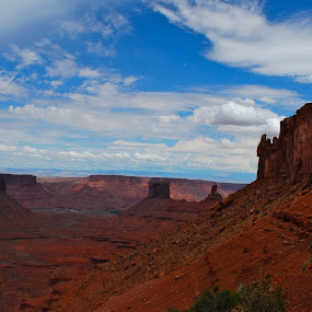by Julie Zaranek - Landscape & Nature Deserts