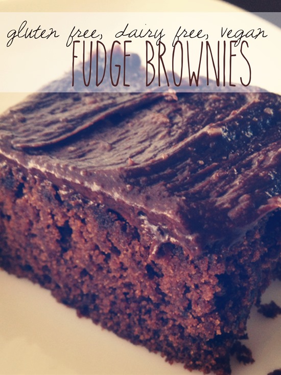 Gluten Free, Dairy Free, Egg Free Brownies