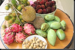Buah-buahan tempatan 016 Buah-buahan tempatan 016