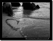amor todoenamorados (20) amor todoenamorados (20)