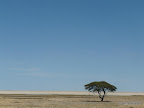 Etosha Nationalpark