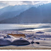 Bavière : Lac Schliersee en hiver