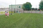 Shamrocks Pictures 008.jpg