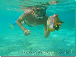 Lovely Conch Shell, French Cay