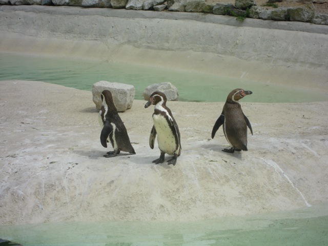 [Picture%2520099%255B4%255D.jpg]