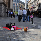 DSC_0071_01.jpg
